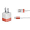 Distressed Austria Flag iPhone Charger (5W USB) Skin